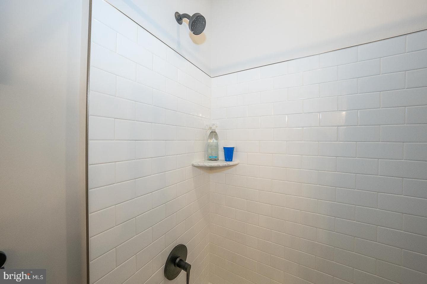 673 Levering Street photo 53