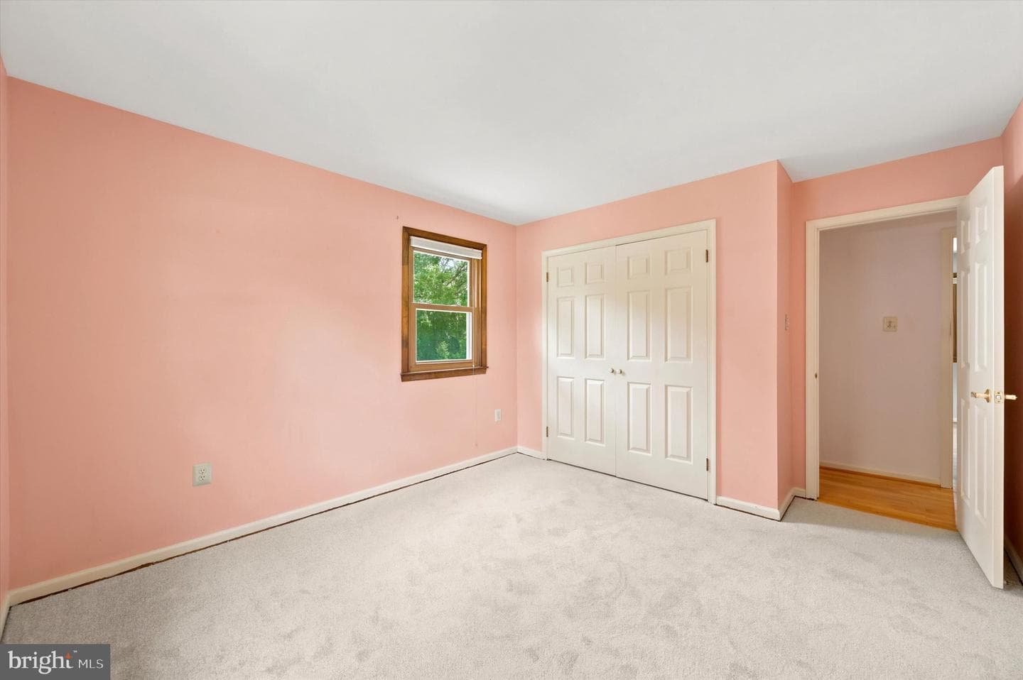 4 Locust Way photo 19