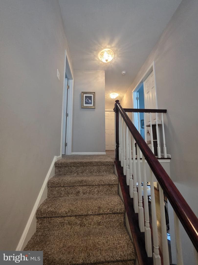 240 Cobblestone Court photo 12