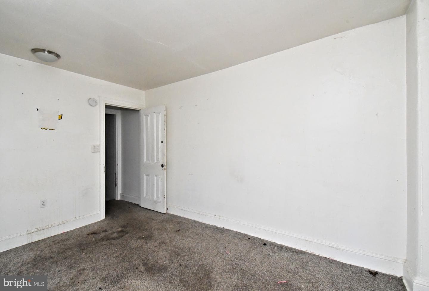 346 Walnut St photo 23