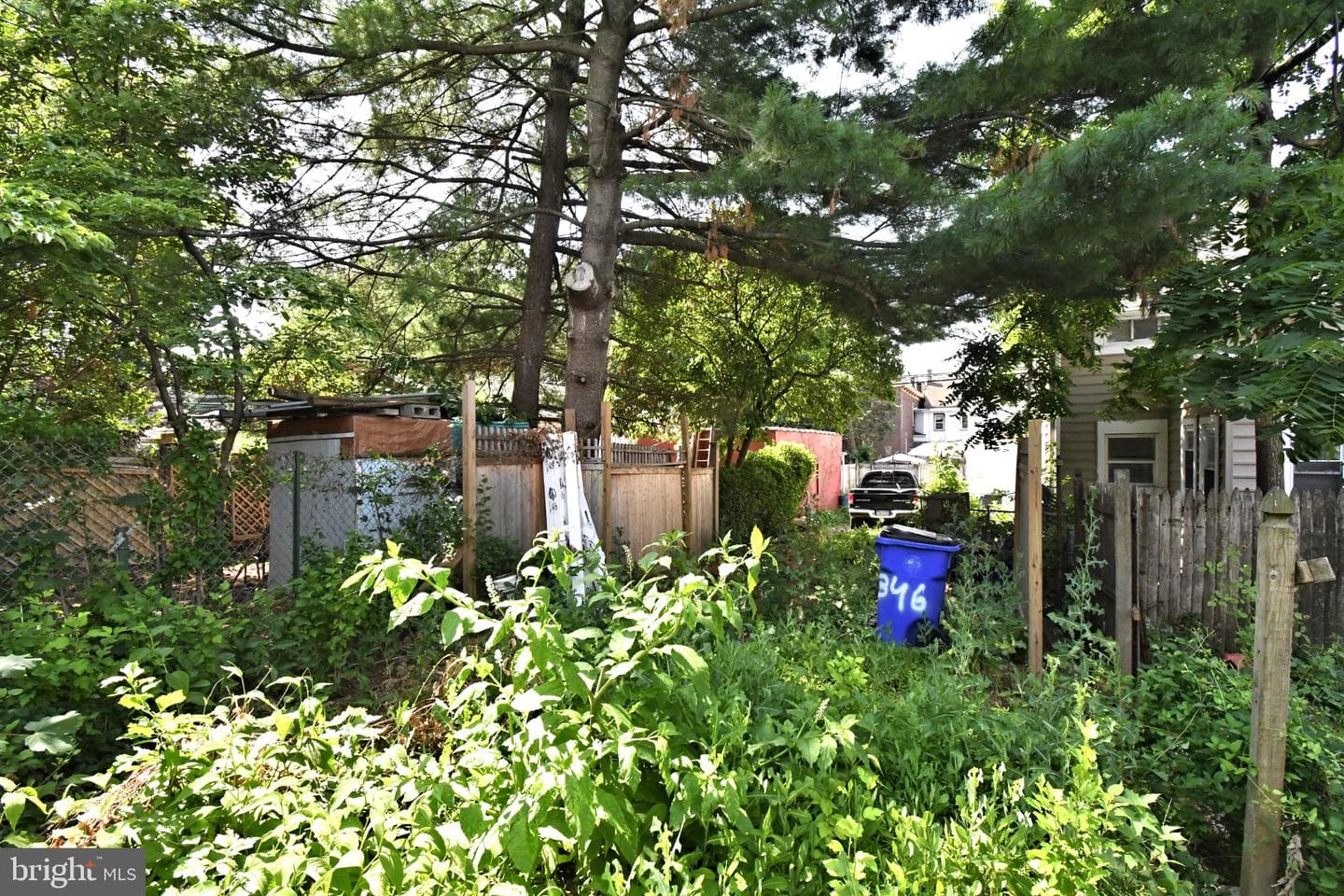 346 Walnut St photo 34
