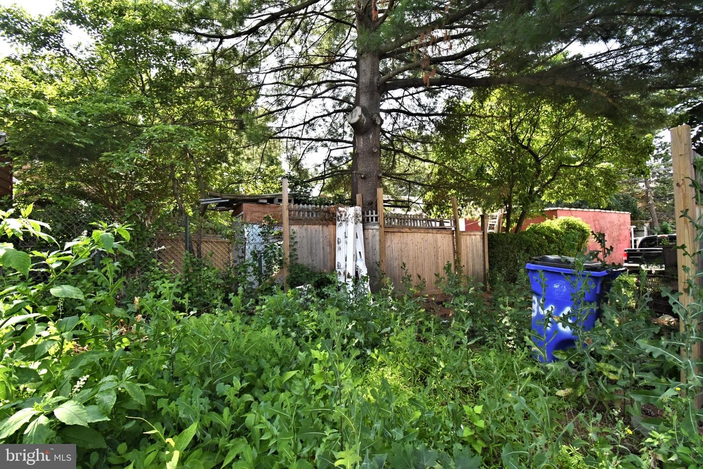 346 Walnut St photo 38