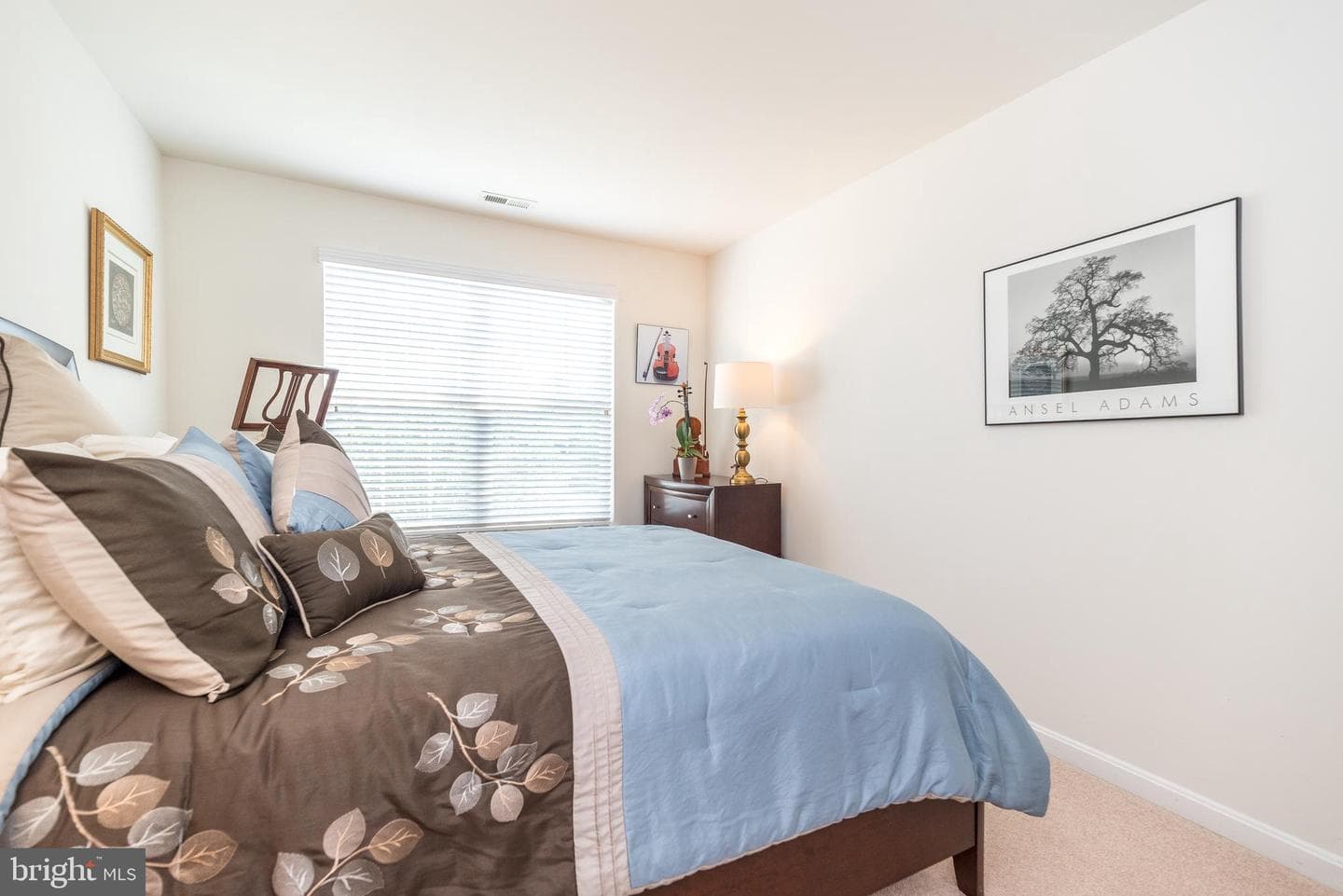 405 Primrose Drive photo 42