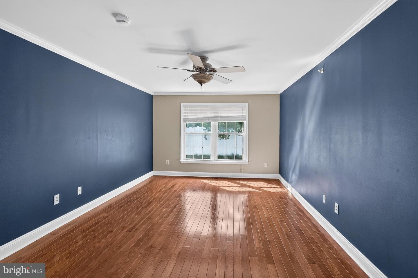 53 Cricket Drive photo 14