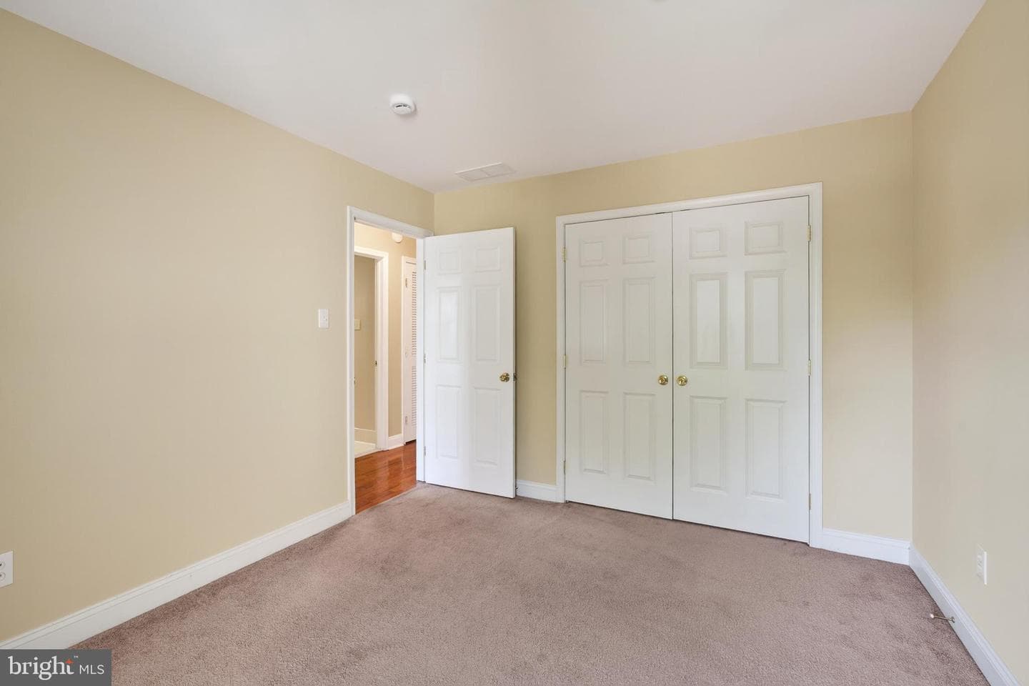 53 Cricket Drive photo 24