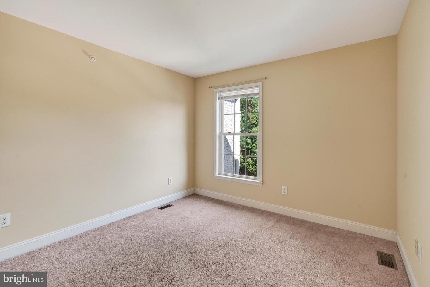 53 Cricket Drive photo 25