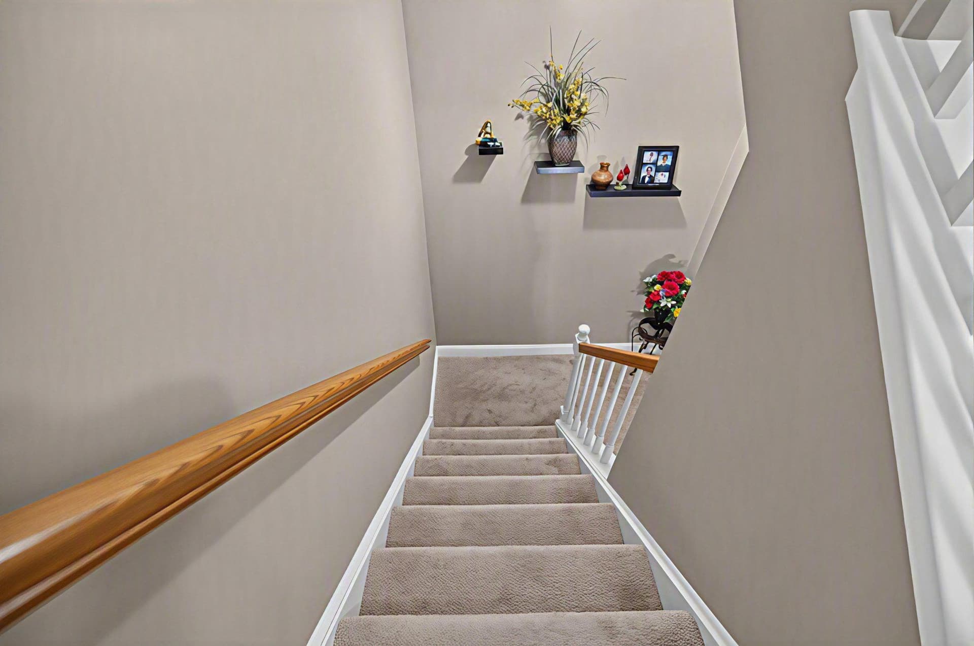110 Meadow View Lane photo 20