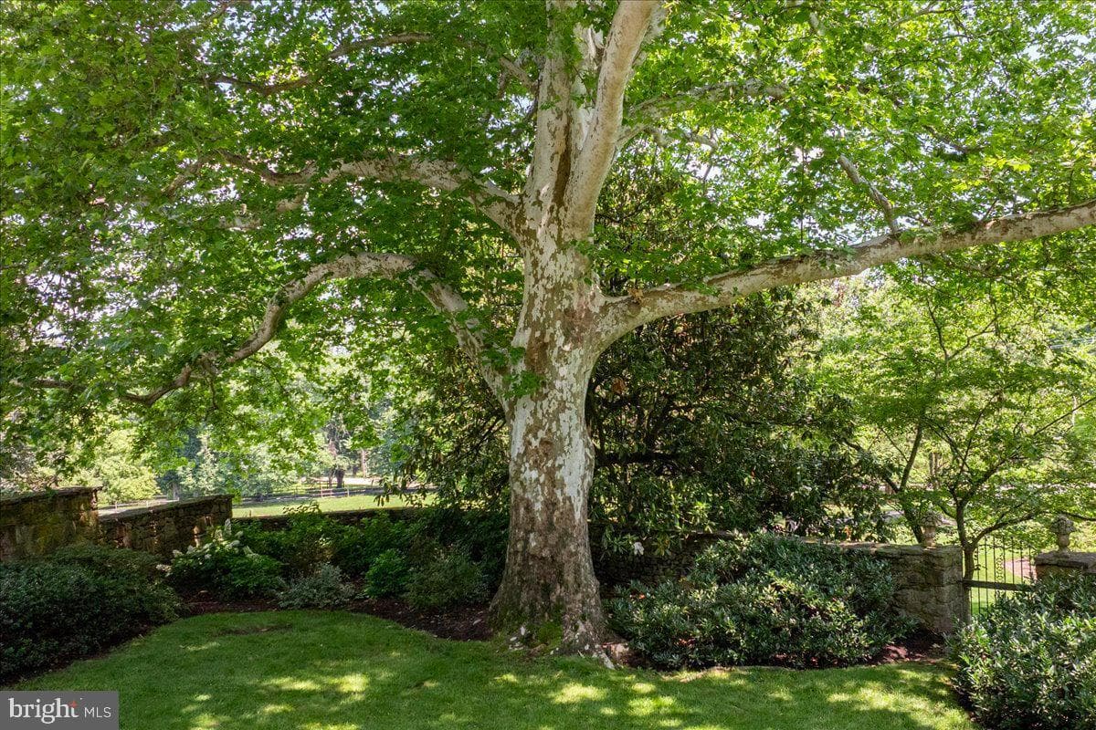 7029 Sheaff Lane photo 71
