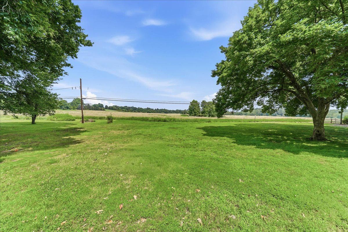 33 Vaux Lane photo 26