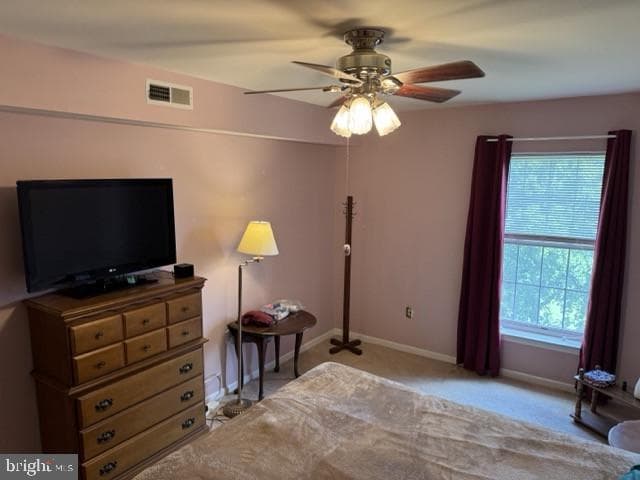 246 Brandon Road photo 19