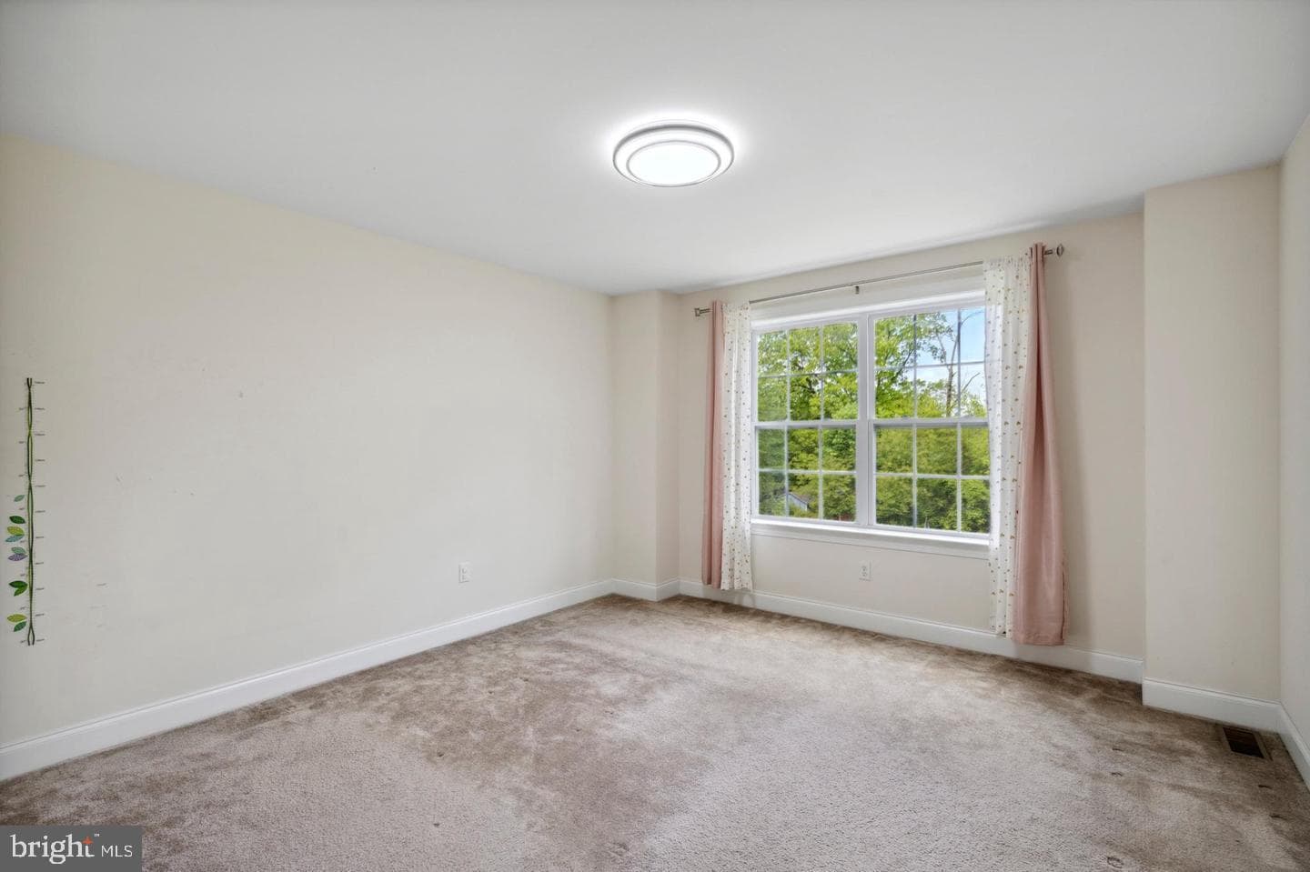 31 Vernon Court photo 12