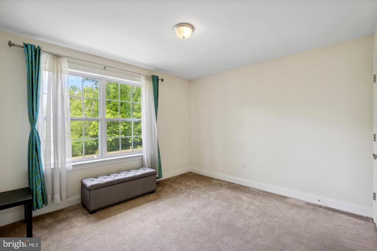 31 Vernon Court photo 13