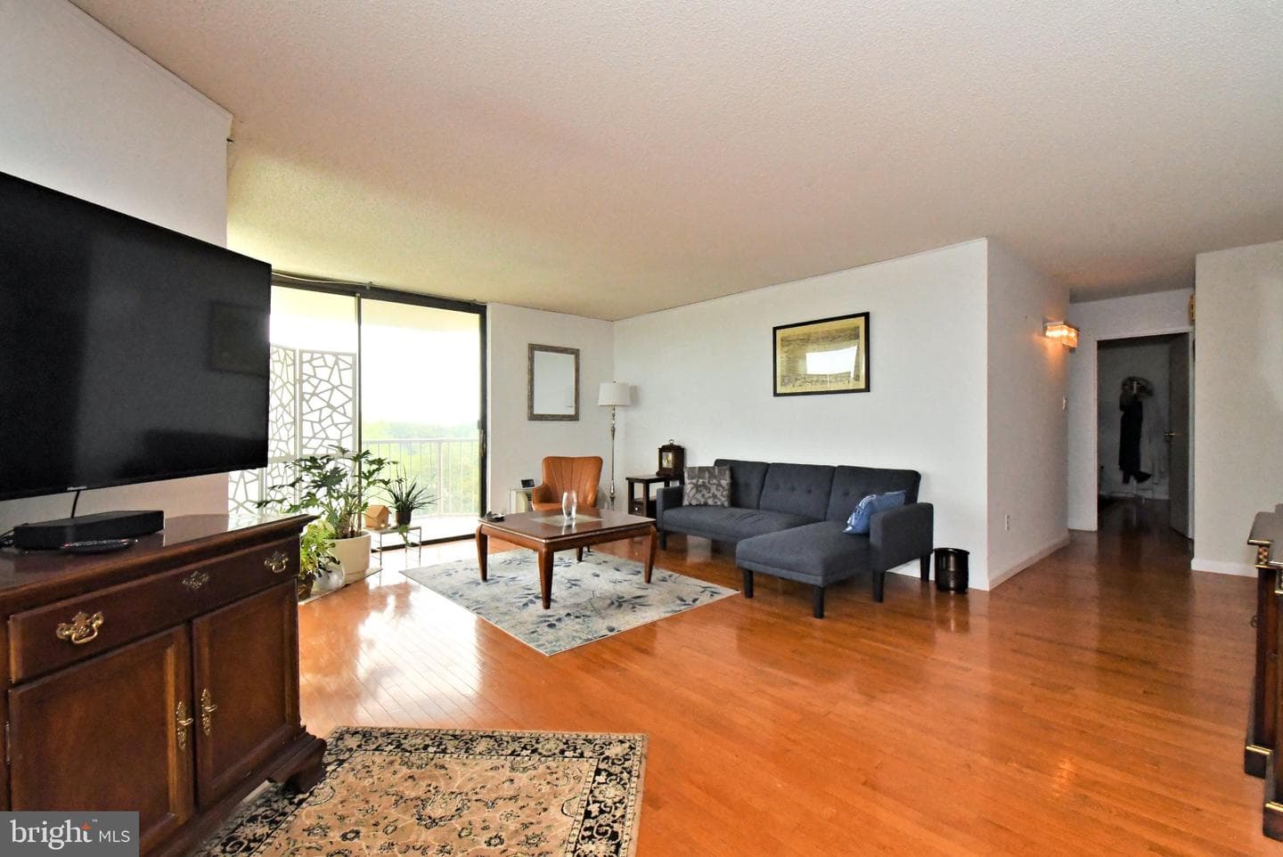 666 W Germantown Pike #1813 photo 10