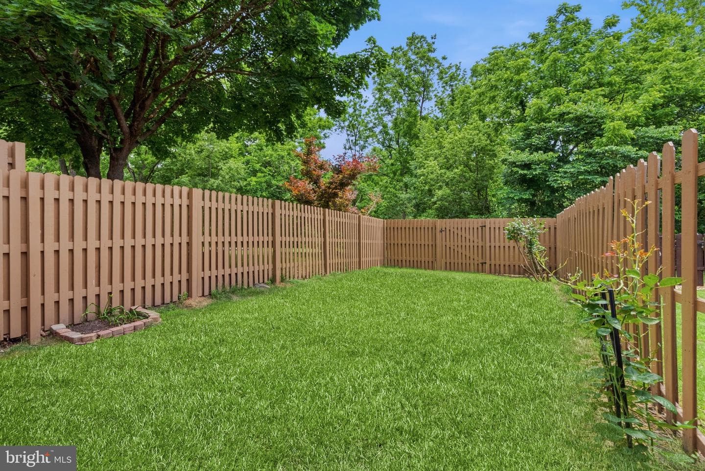 146 Larchwood Court photo 35