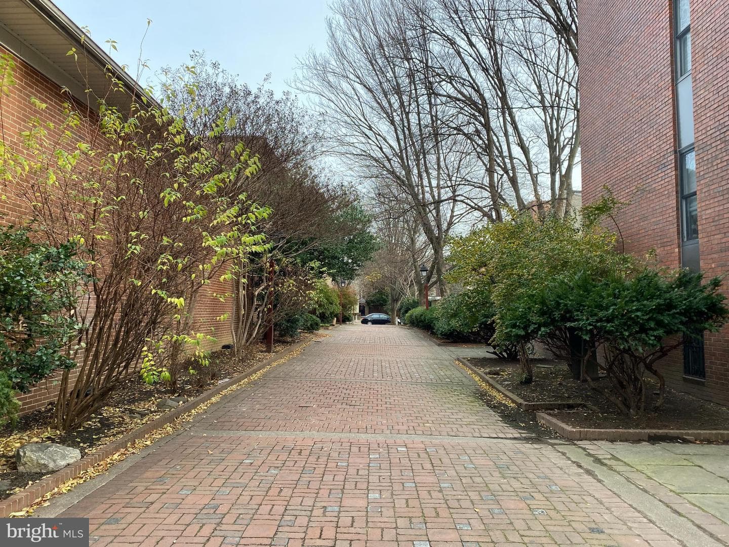 513 Pine Street photo 30