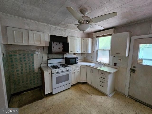 6846 N 7th Street photo 5