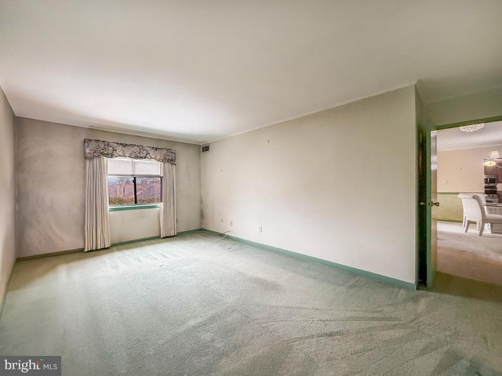 44303 Delaire Landing Road #303 photo 22