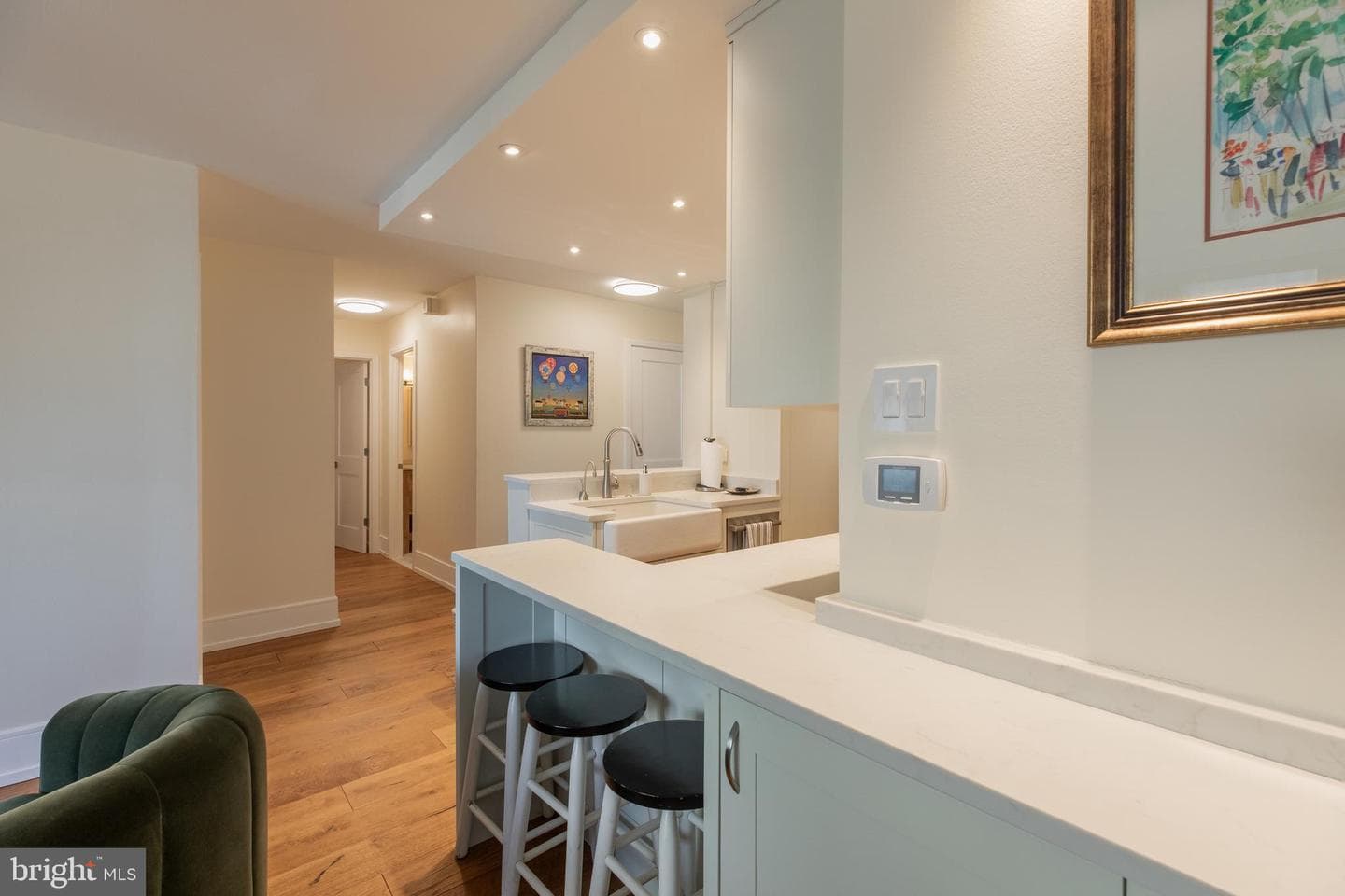 226 W Rittenhouse Square #1501 photo 11