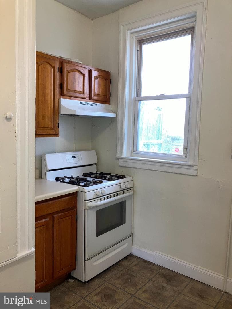 1512 W Ruscomb Street photo 14