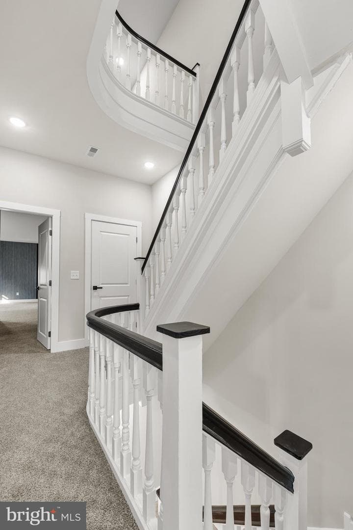 5039 Schuyler Street photo 15