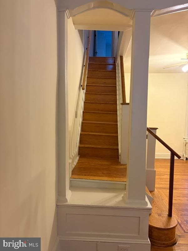 5229 Pulaski Avenue photo 17