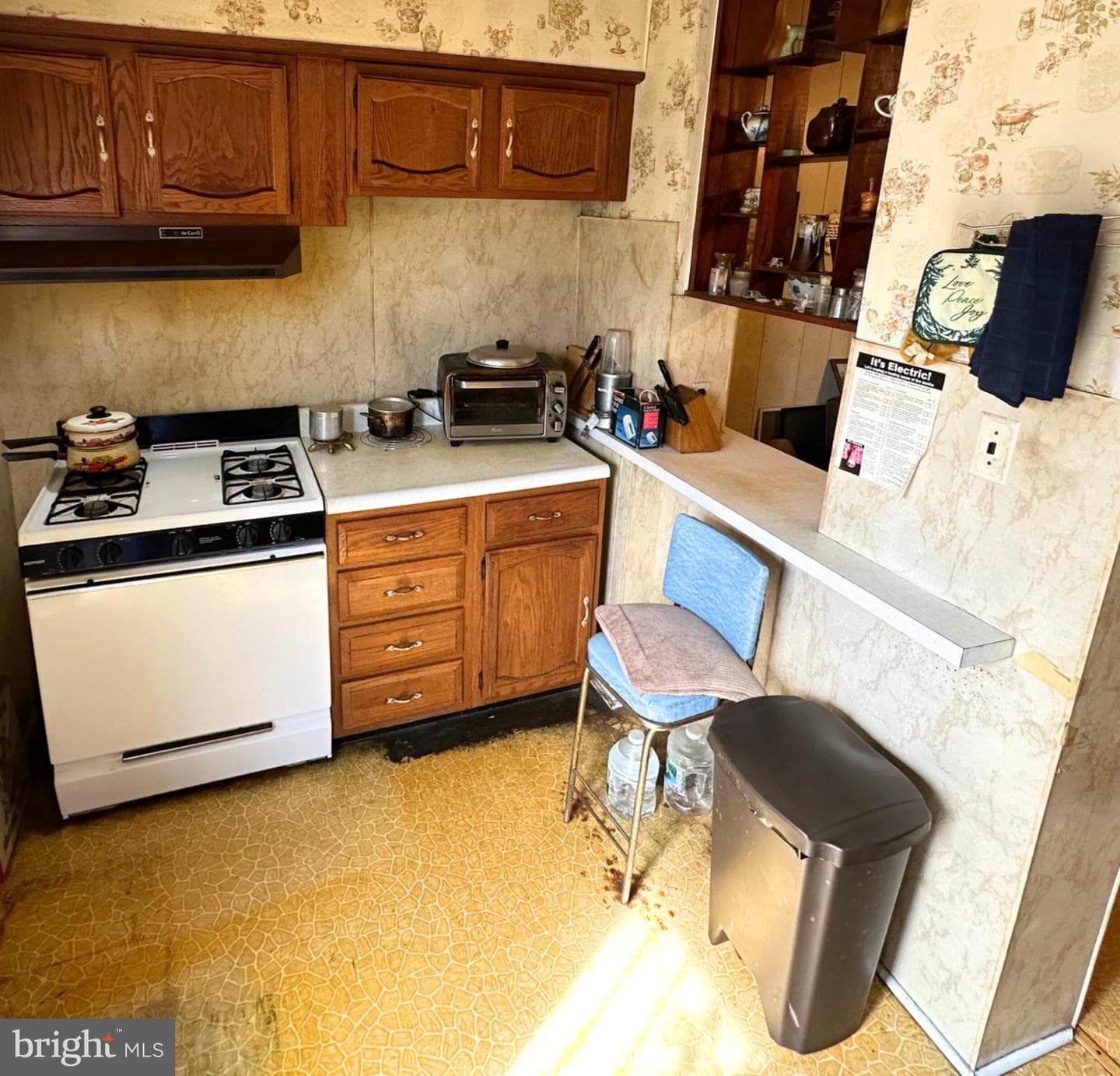 3038 W Lehigh Avenue photo 6