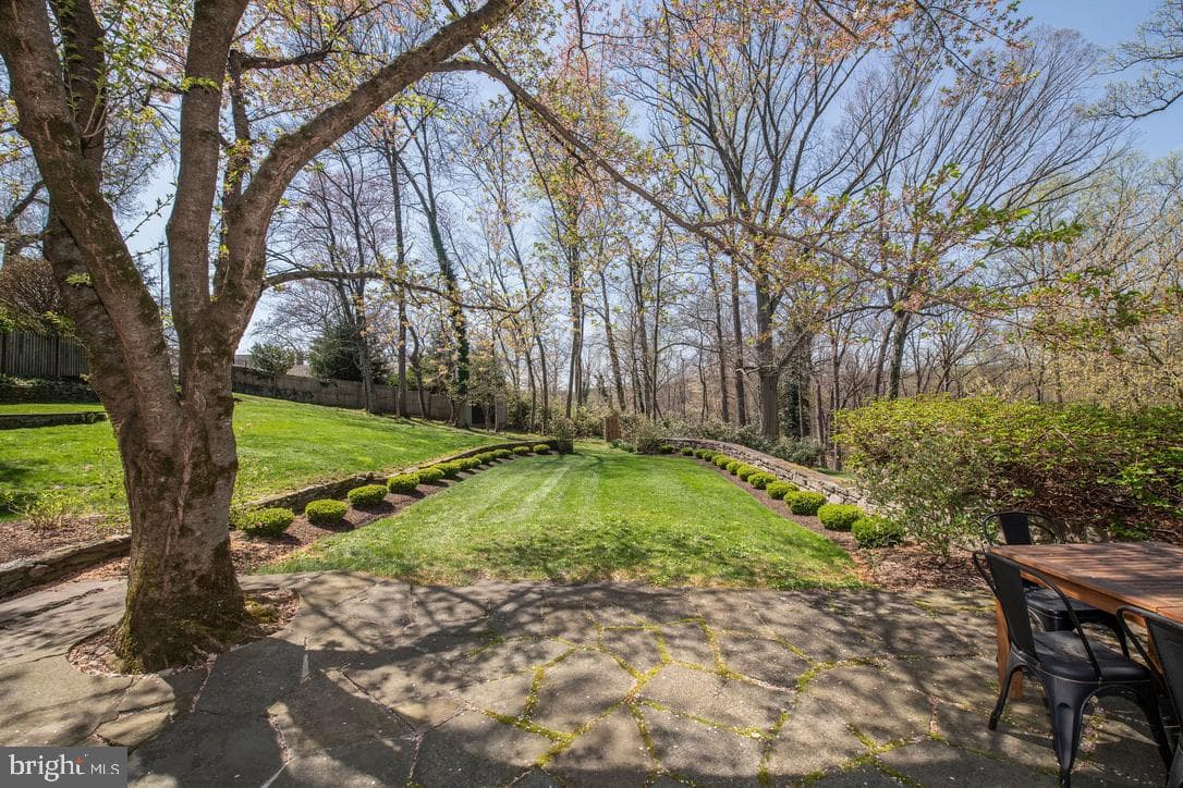8830 Towanda Street/ Aka 505 W.Chestnut Hill Avenue photo 71