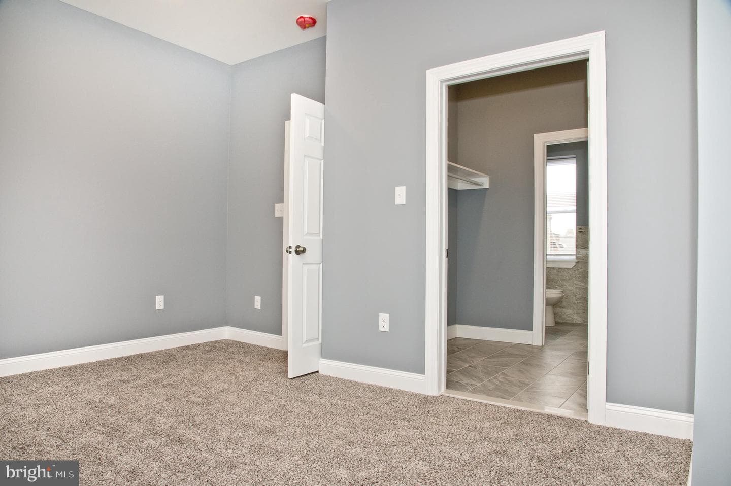3137 Clifford Street photo 6