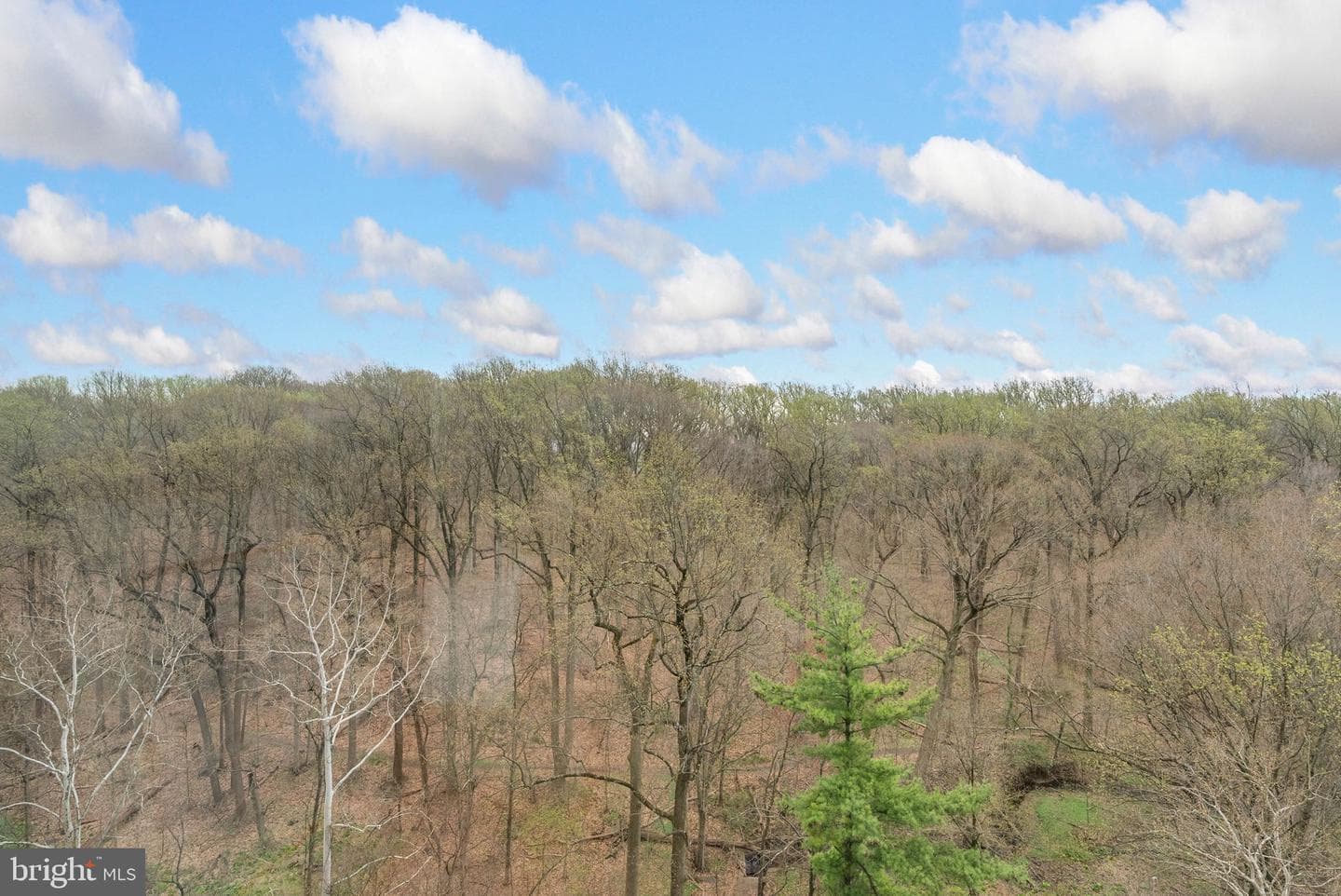 3600 Conshohocken Avenue #714 photo 6