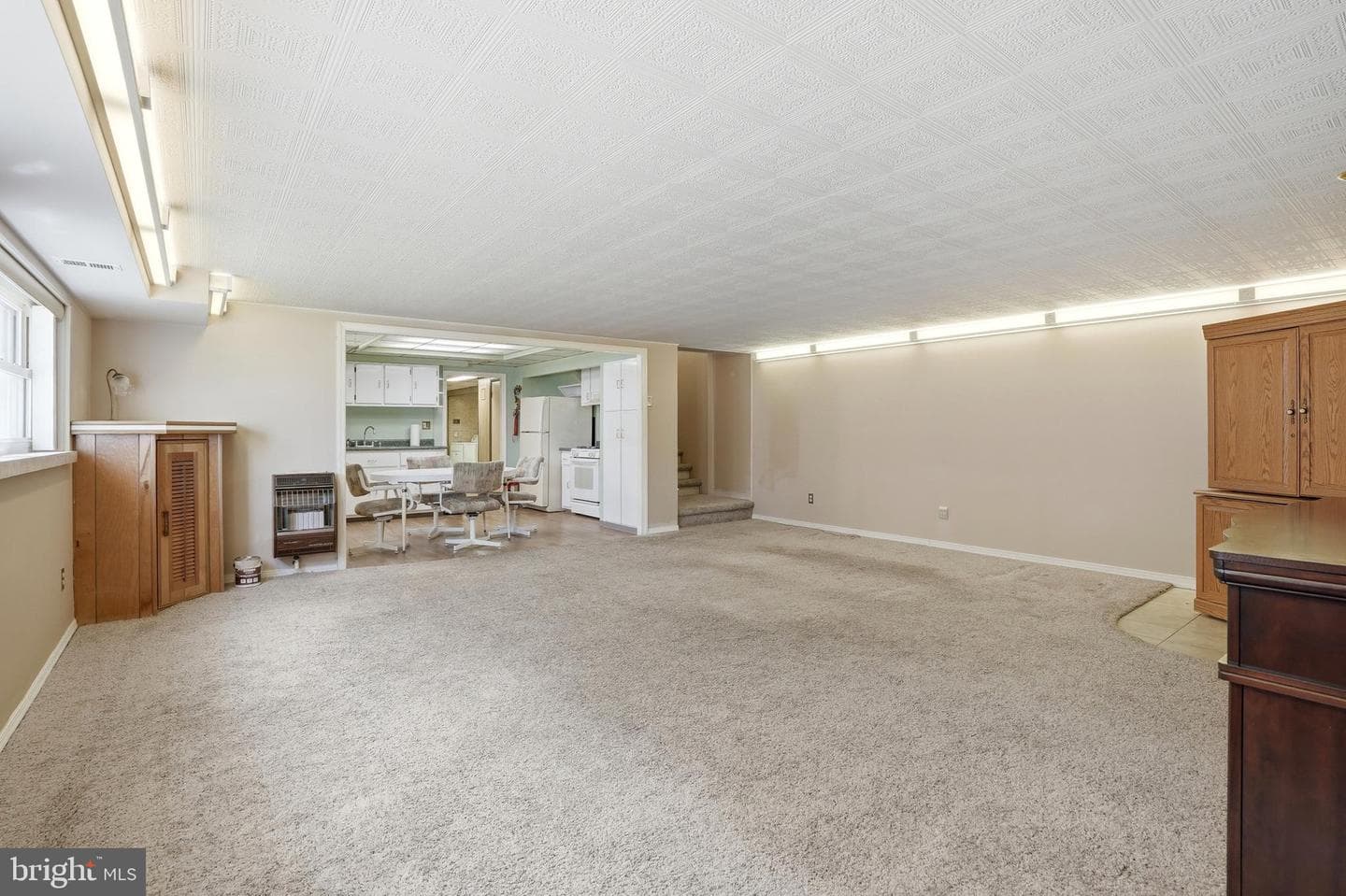8931 Leonard Street photo 28