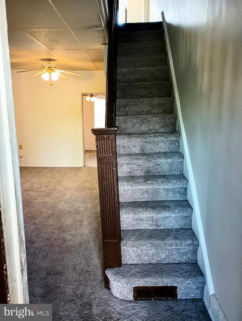 5140 Ranstead Street photo 10