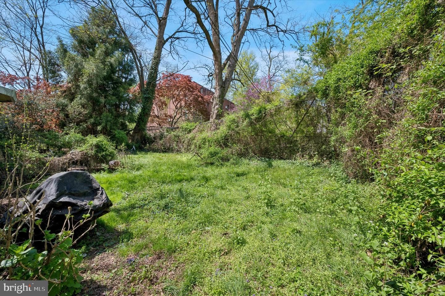 4511 Chester Avenue photo 34
