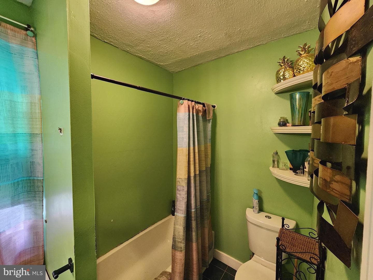 2502 W Sterner Street photo 10