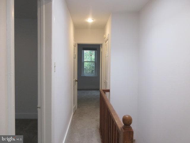 2453 Meredith Street photo 11