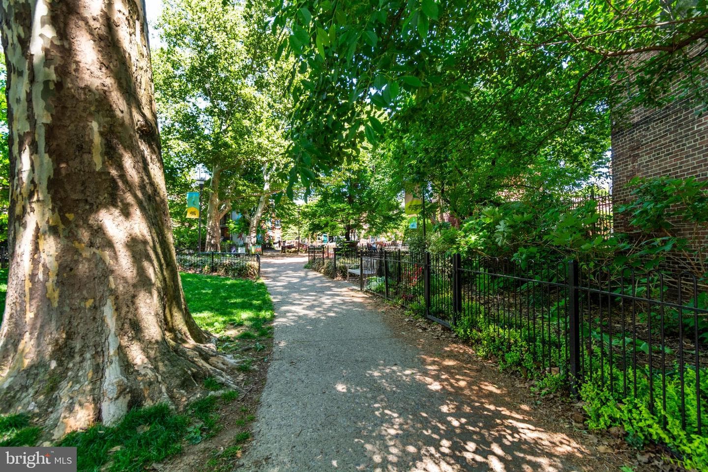 255 Queen Street photo 52