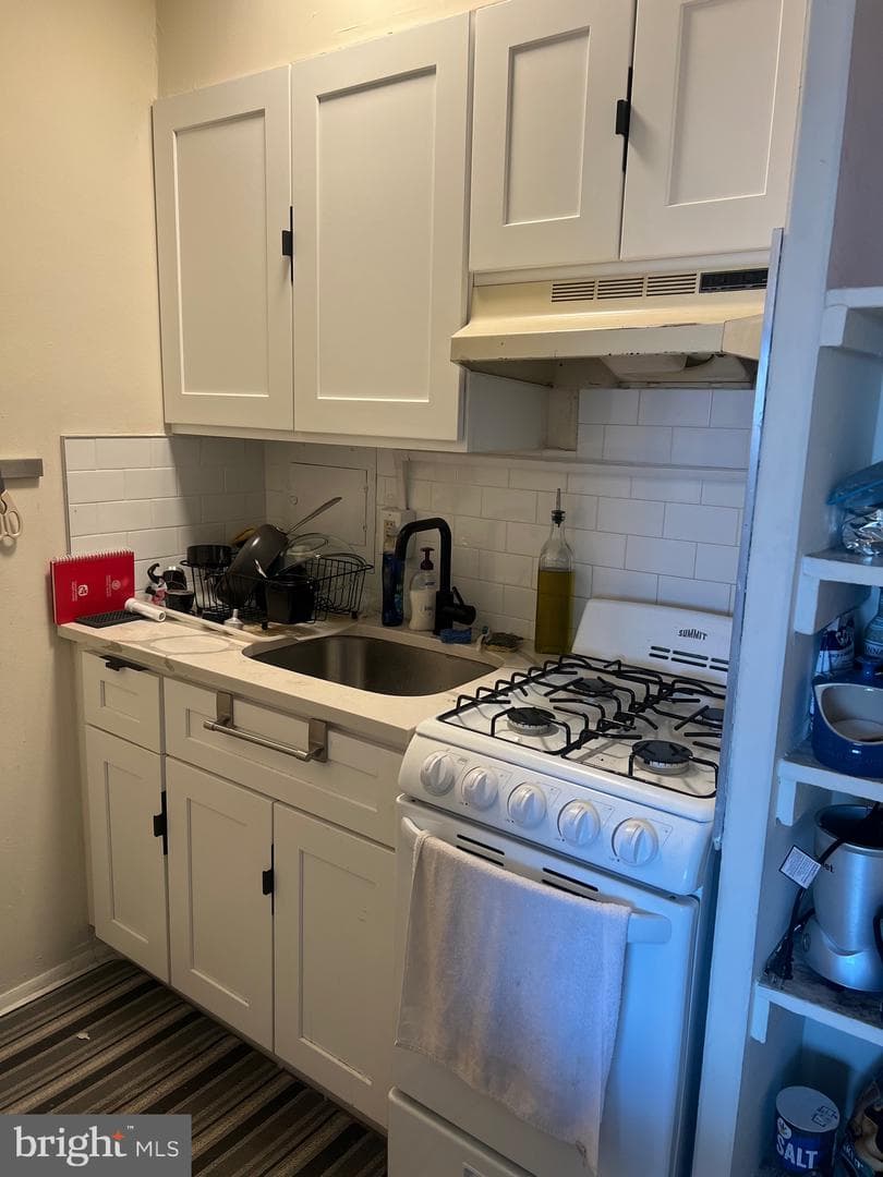 2101 Chestnut Street #1813 photo 8