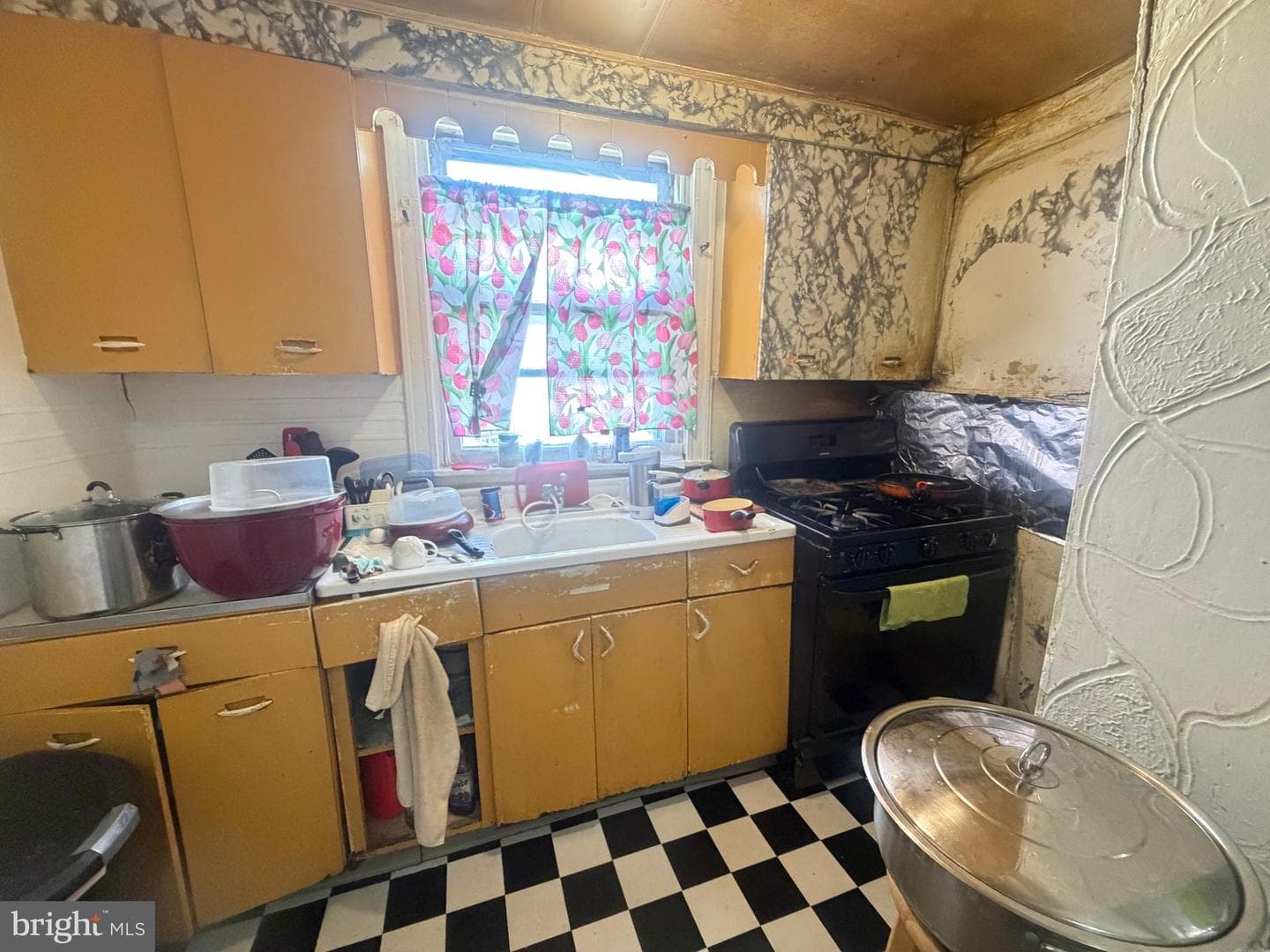 247 E Rockland Street photo 5