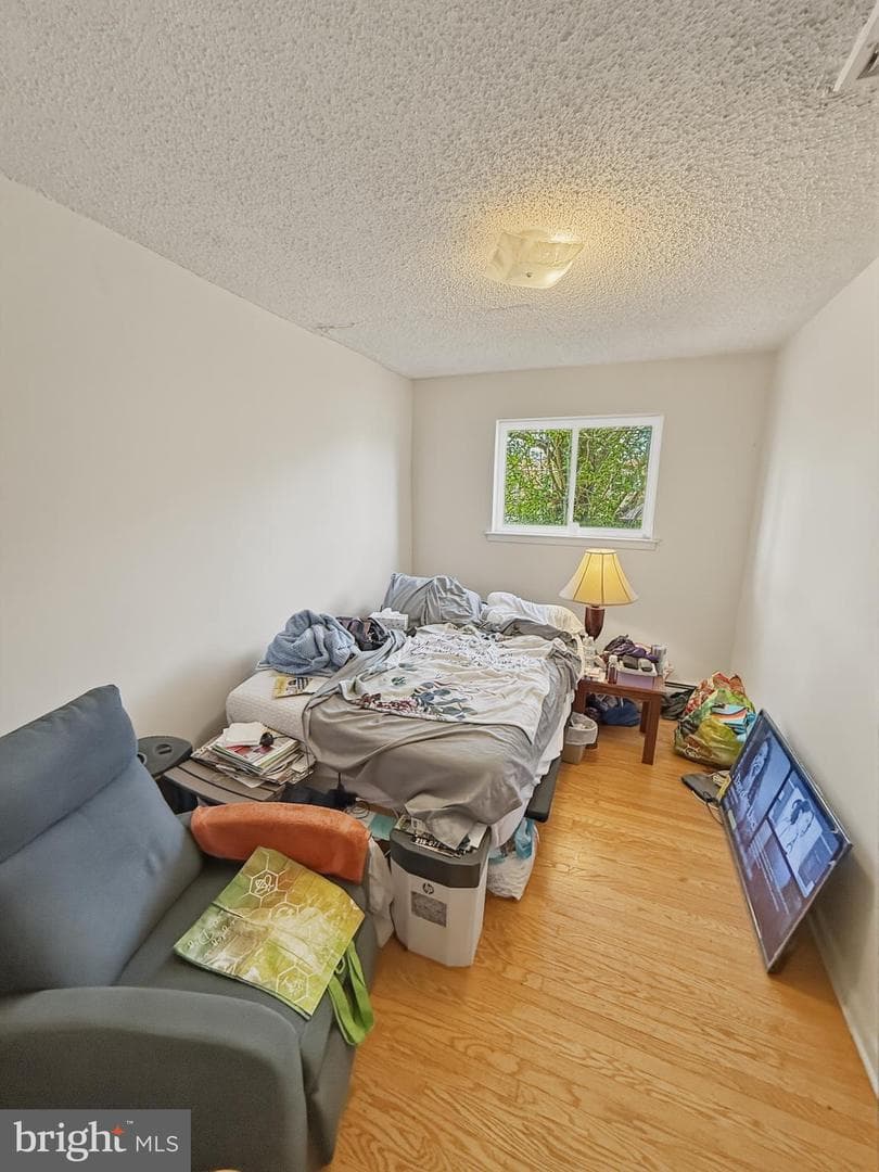 562 Larkspur Street photo 11