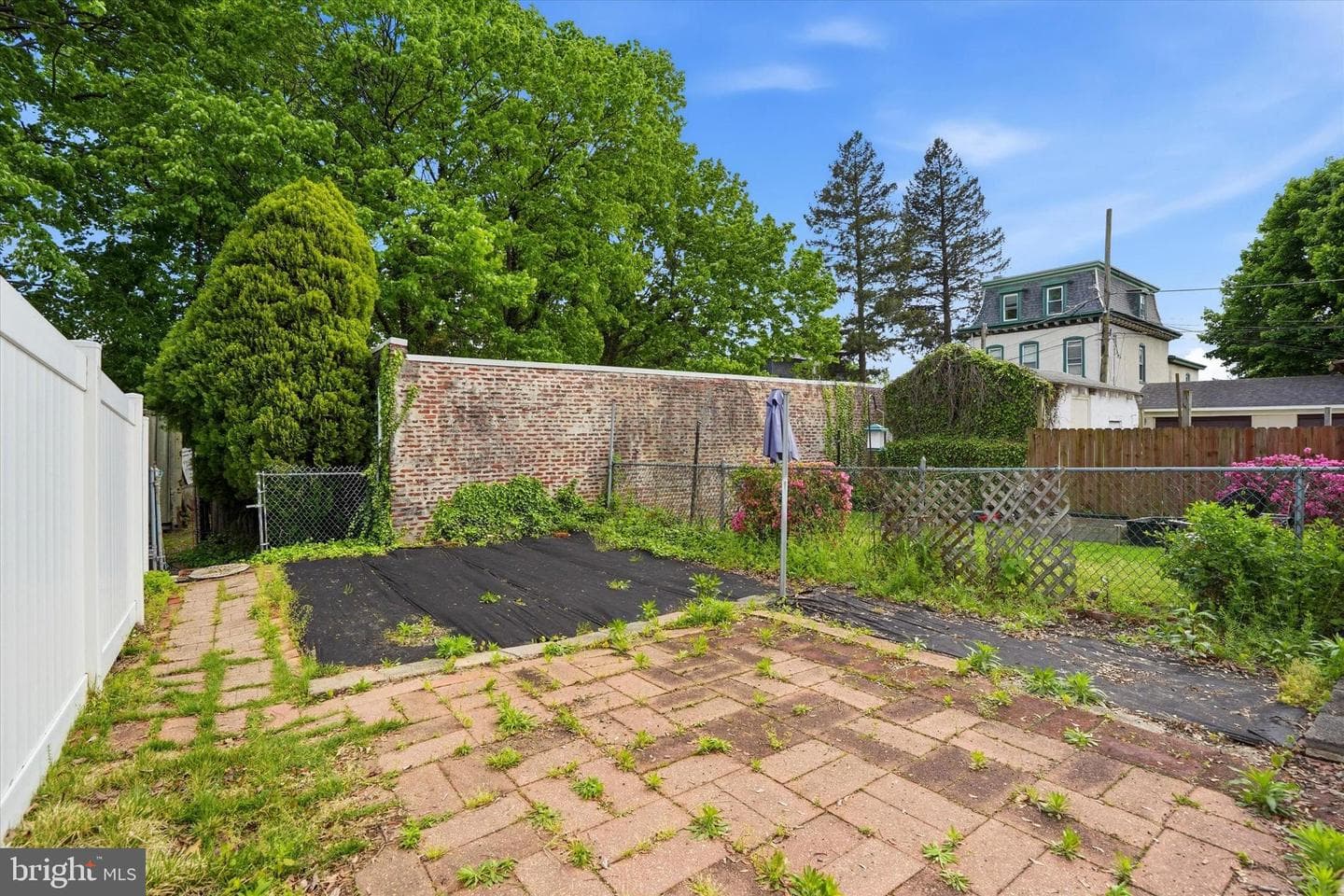 255 Dupont Street photo 20