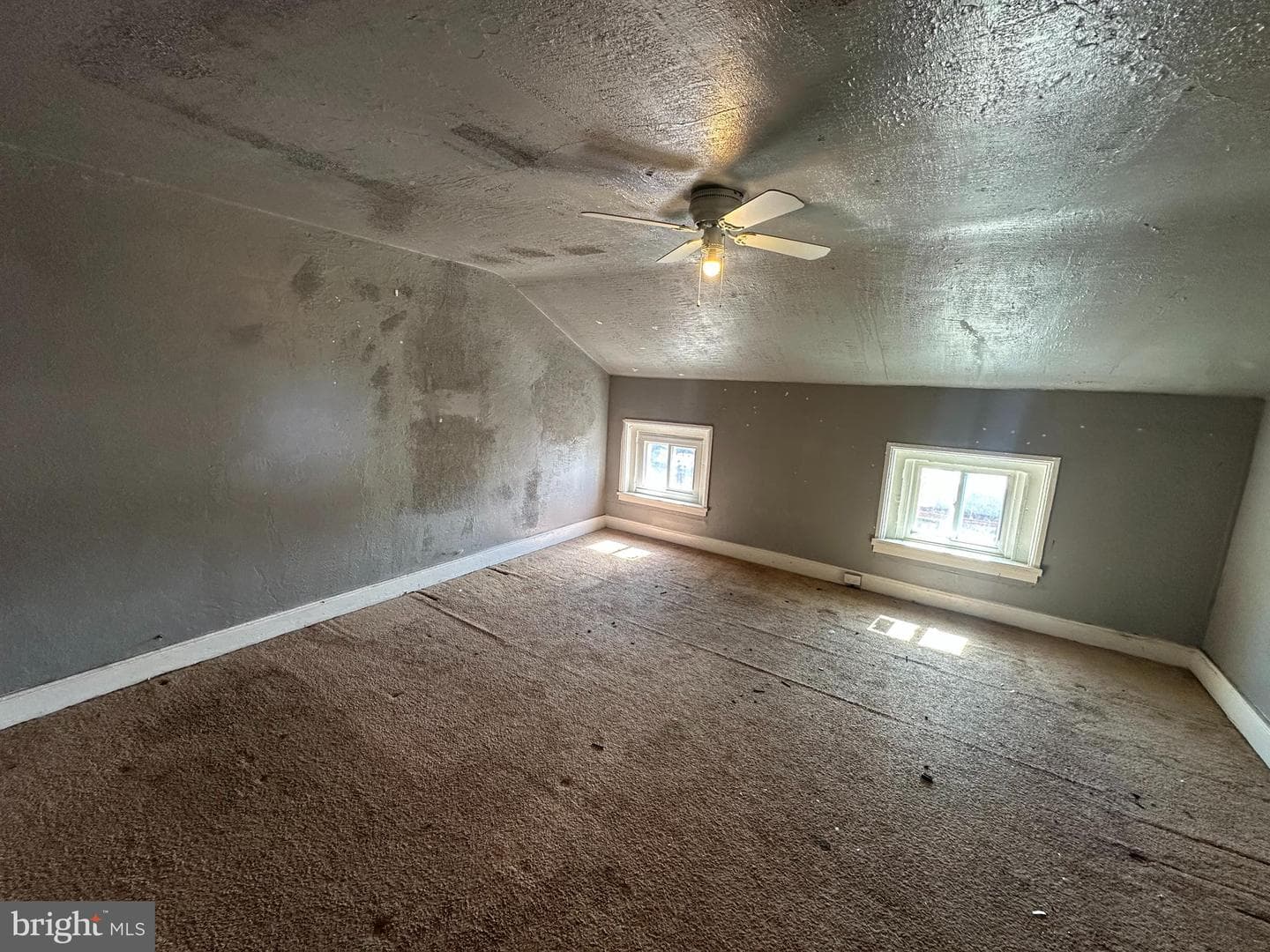 3607 Rhawn Street photo 12