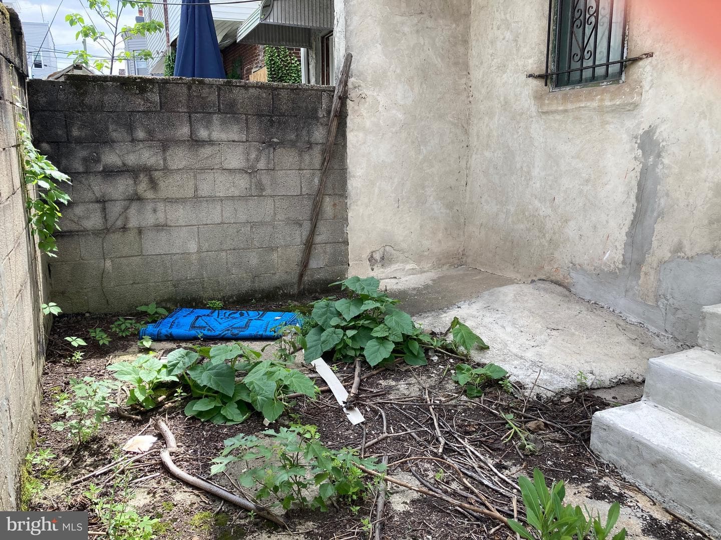 1237 S 23rd Street photo 12
