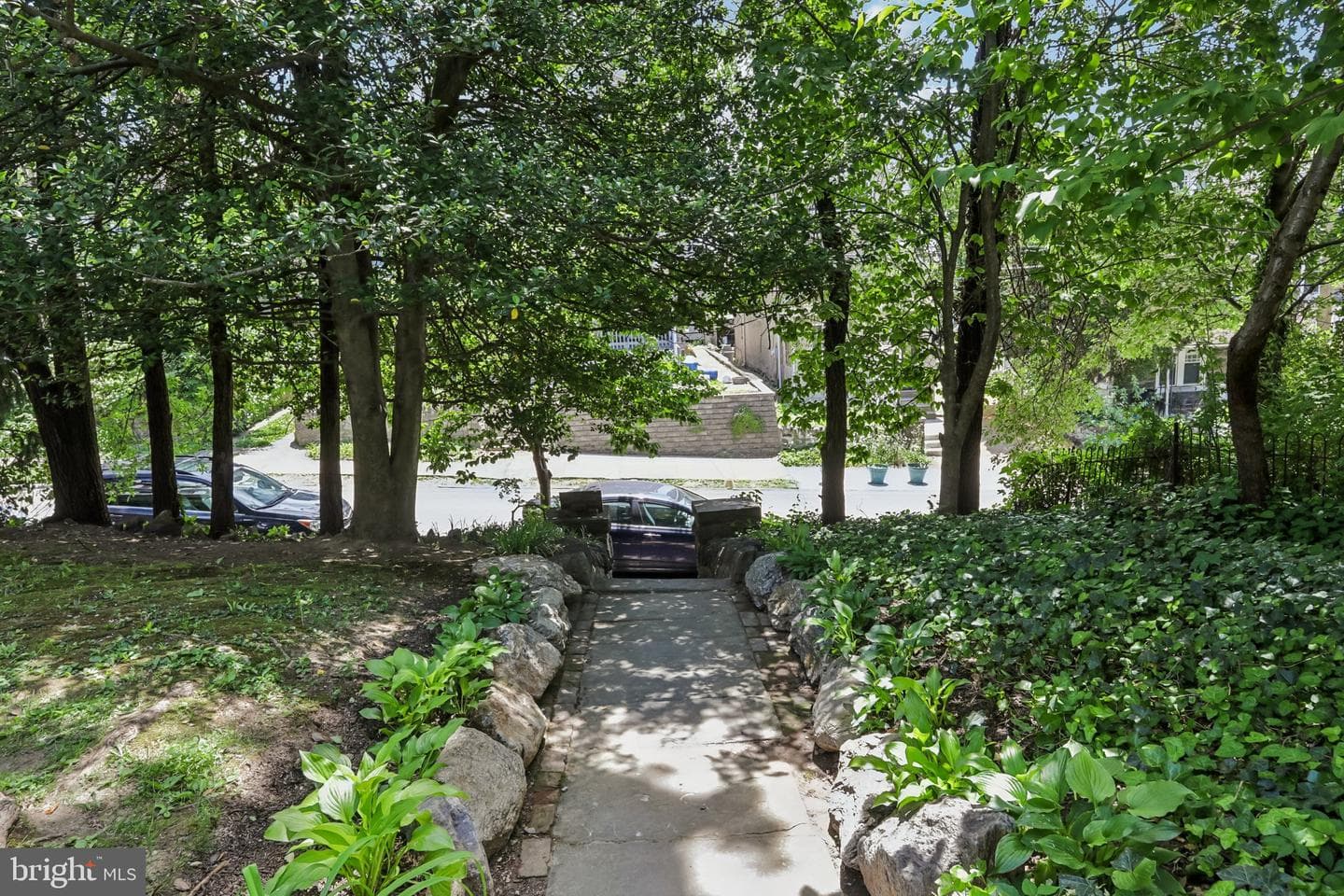 135 W Mount Pleasant Avenue photo 3