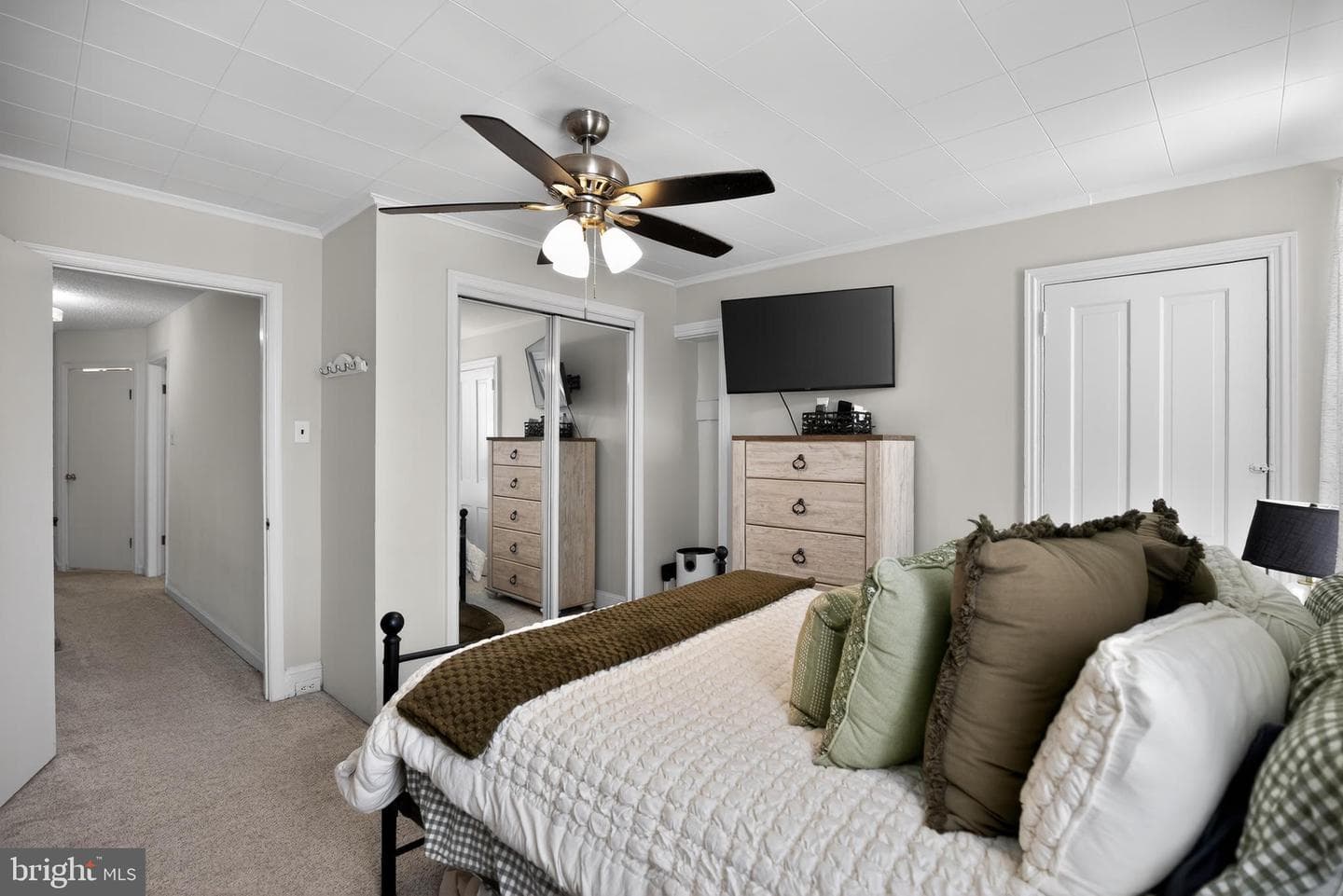 259 Lauriston Street photo 16