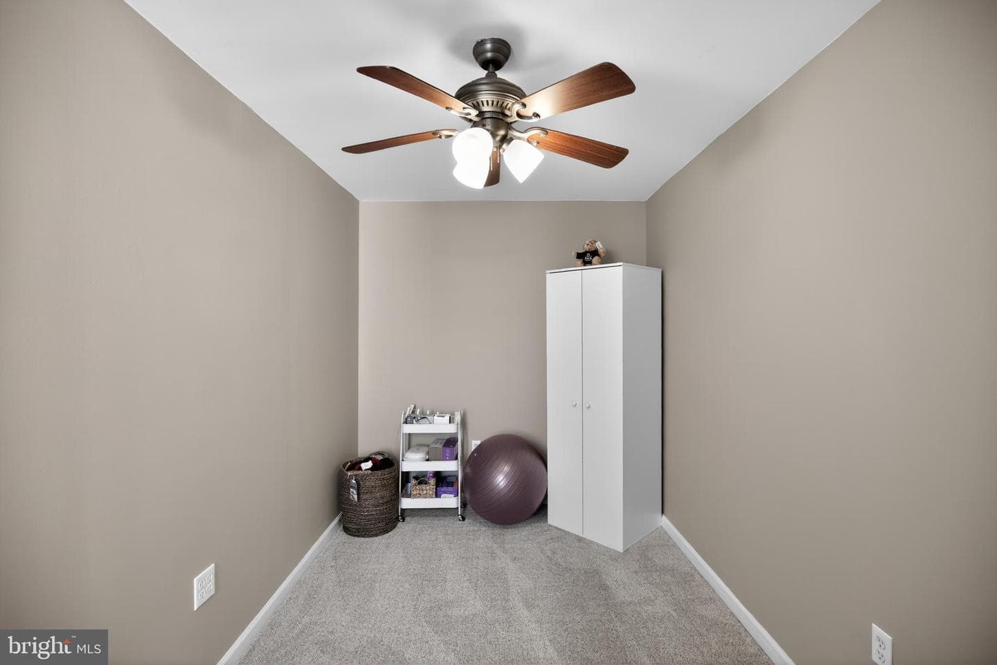 259 Lauriston Street photo 21