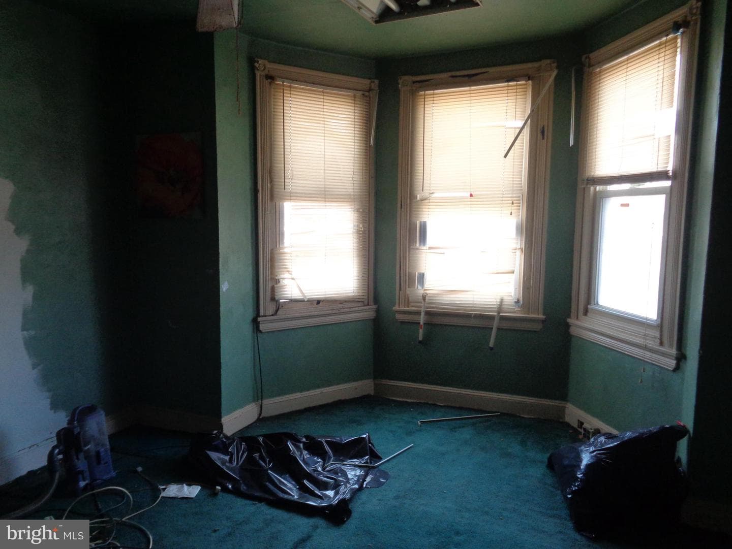 4253 Tackawanna Street photo 8