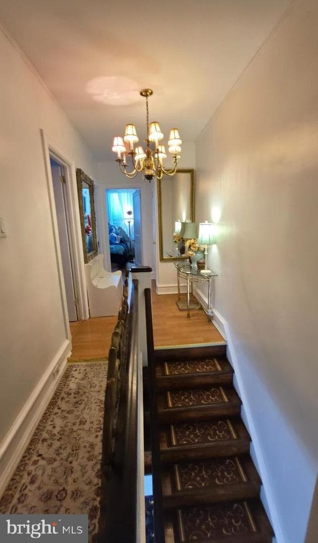 4113 Comly Street photo 16