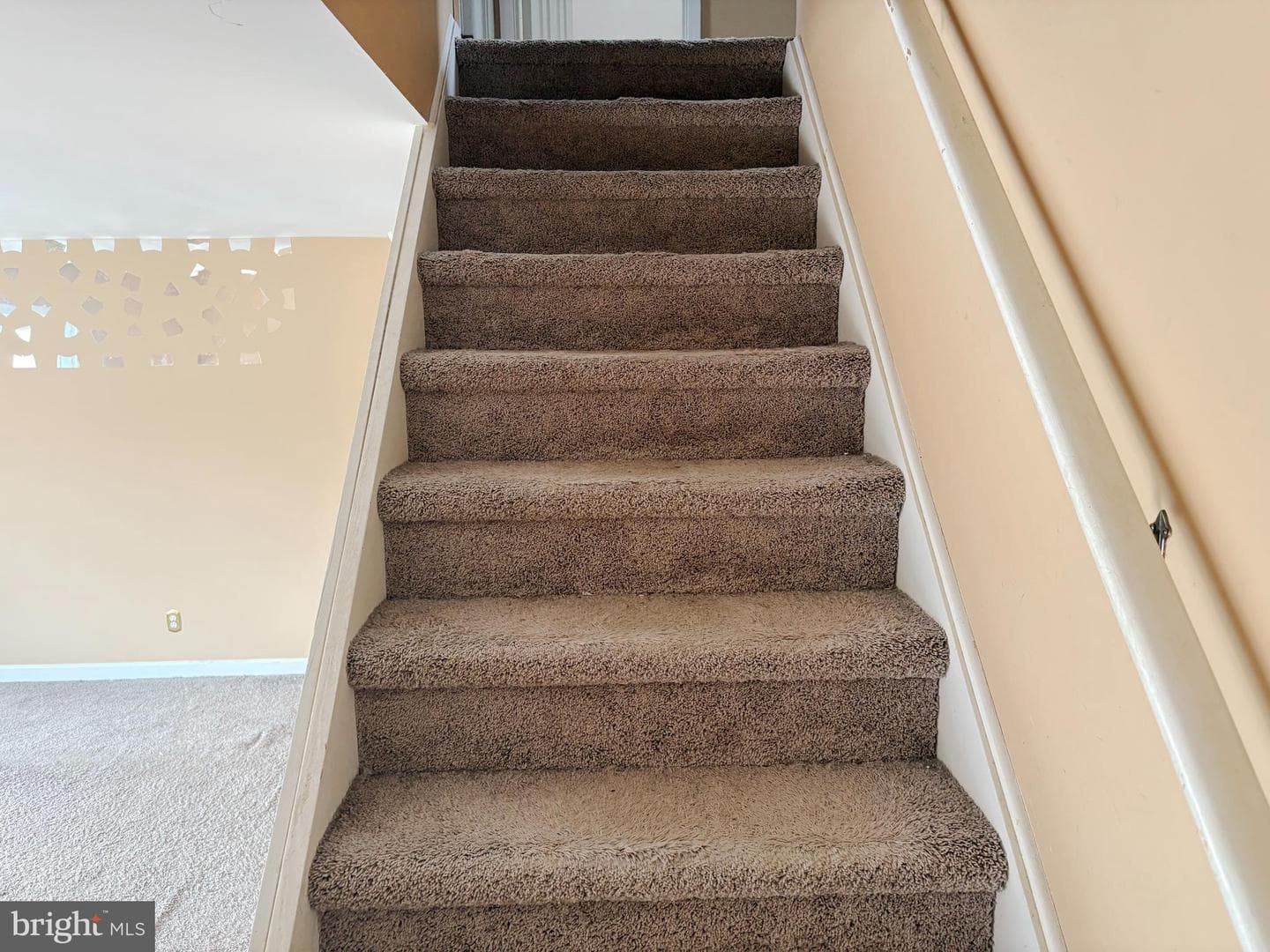 12518 Fedor Place photo 9