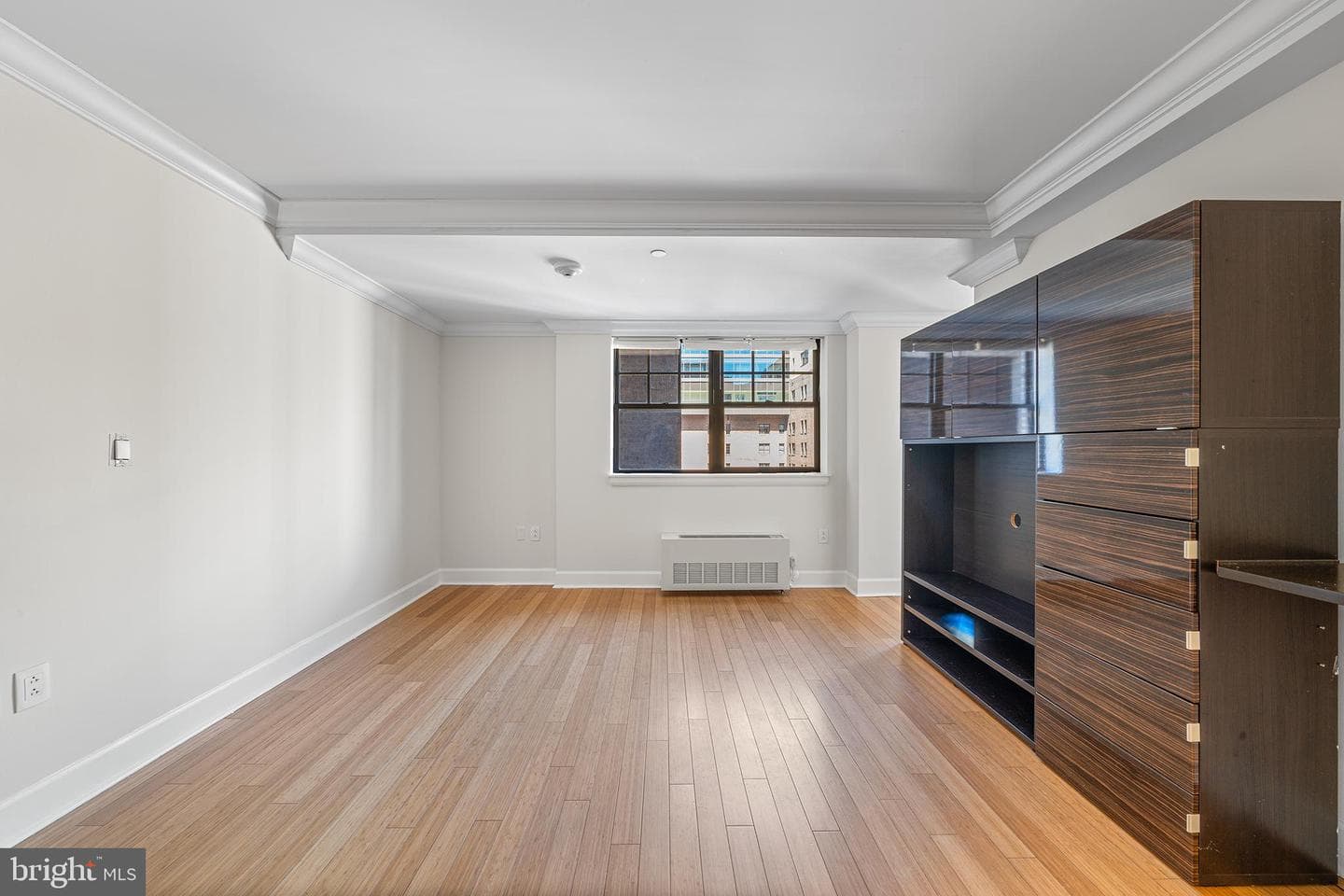 1701 Locust Street #1617 photo 8