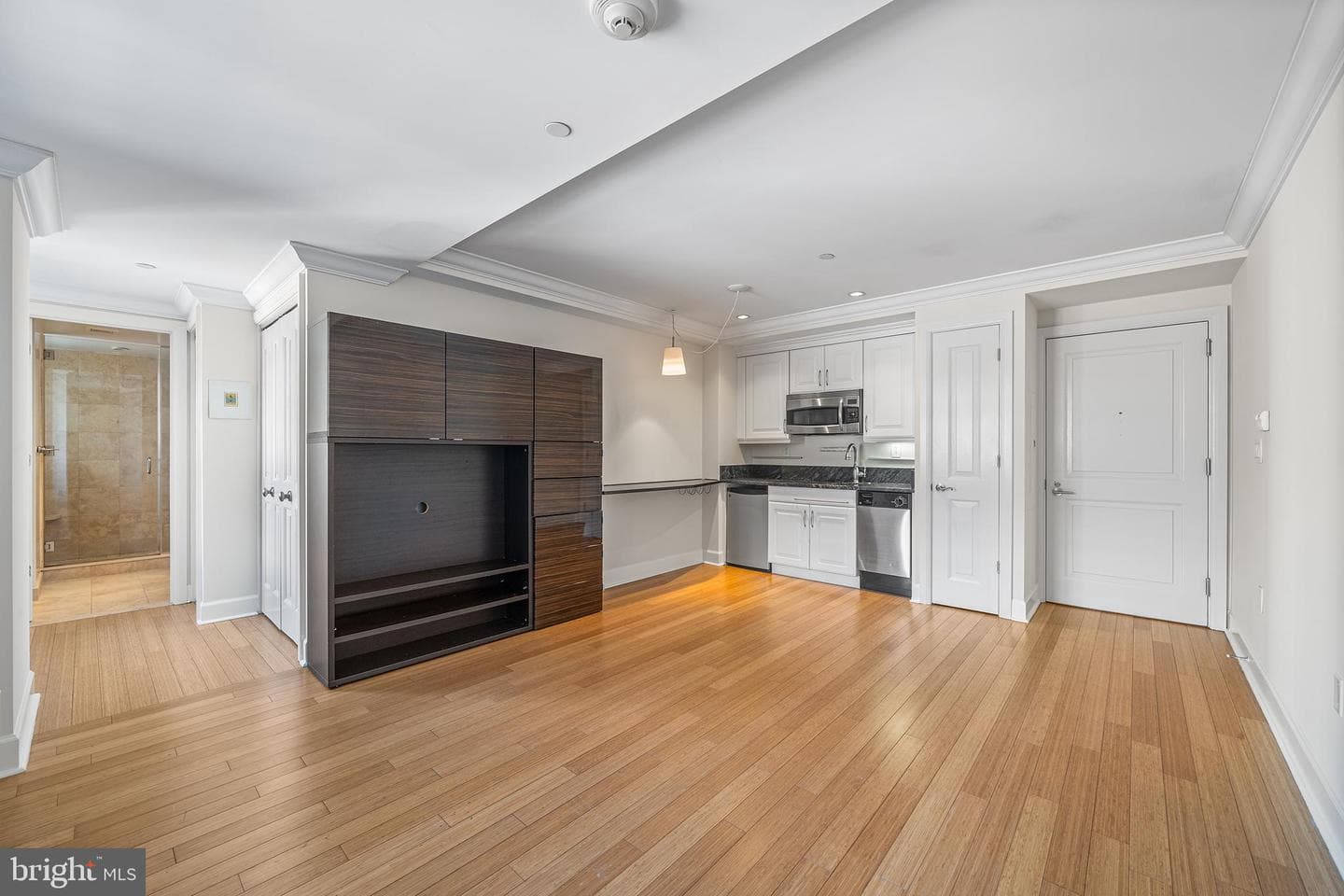 1701 Locust Street #1617 photo 9