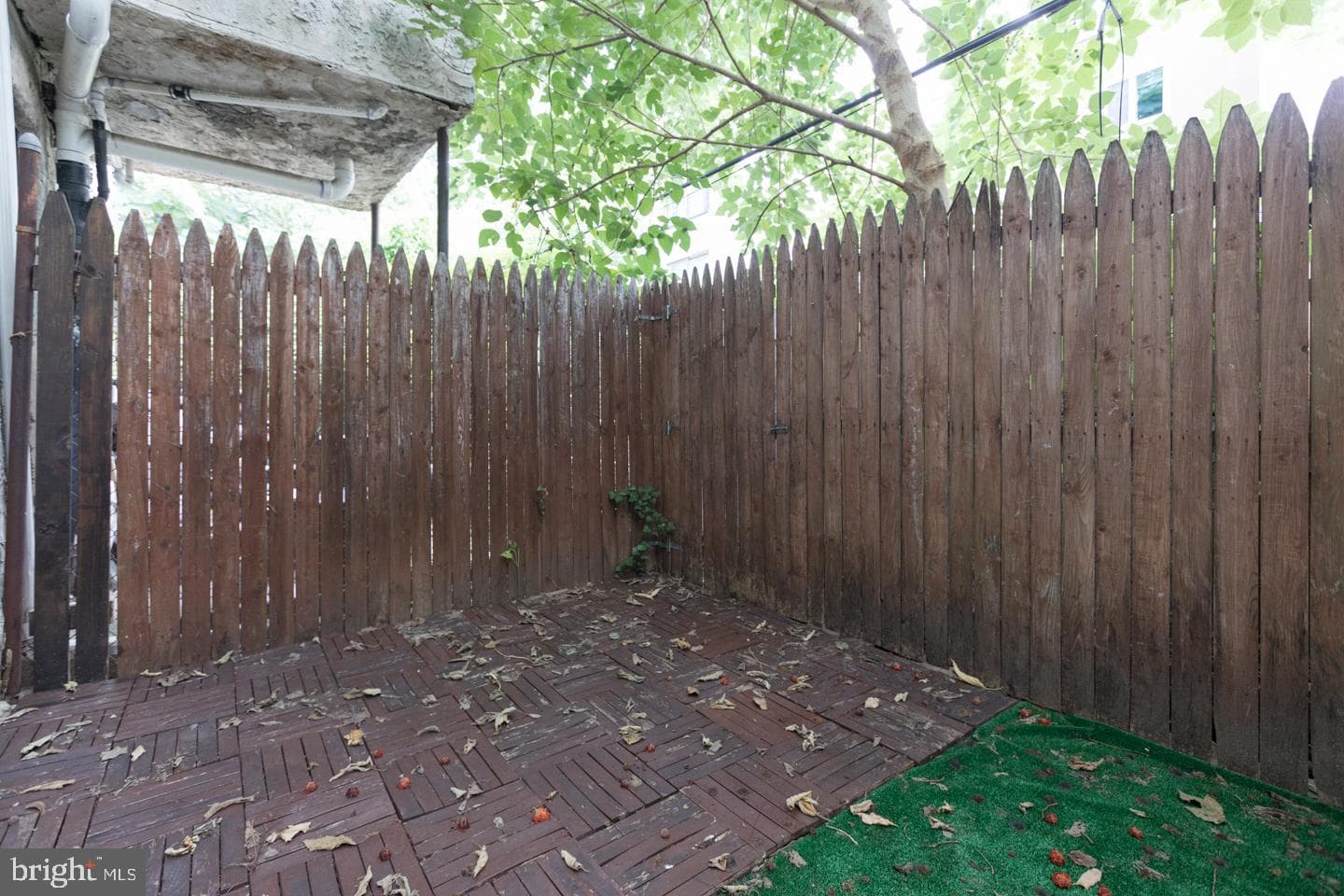 1161 S Mole Street photo 7